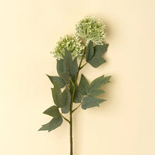 Load image into Gallery viewer, Sedum Spray, Green
