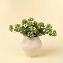 Load image into Gallery viewer, Sedum Spray, Green
