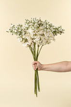 Load image into Gallery viewer, Delphinium Floral Stem, White
