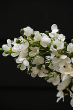 Load image into Gallery viewer, Delphinium Floral Stem, White
