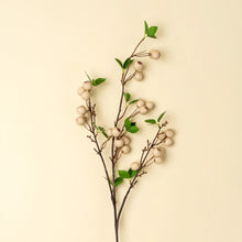 Load image into Gallery viewer, Wild Apple Berry Spray
