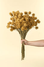 Load image into Gallery viewer, Chestnut Ball Bouquet, Light Brown
