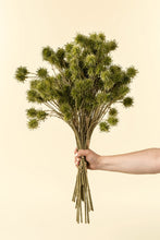Load image into Gallery viewer, Chestnut Ball Bouquet, Green
