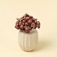 Load image into Gallery viewer, Ranunculus Bouquet, Deep Pink
