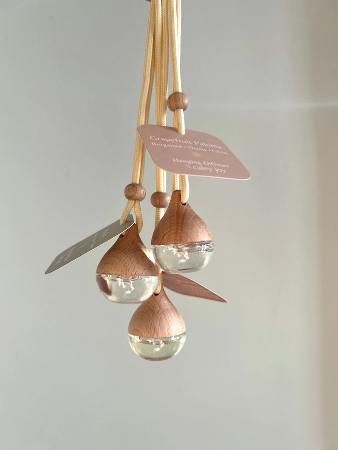 Hanging Car Diffuser-Baja Sur