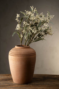 Flowering Eucalyptus Branch