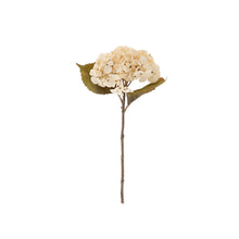 Load image into Gallery viewer, White Hydrangea Stem
