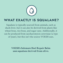 Load image into Gallery viewer, Voesh Heel Repair Duo
