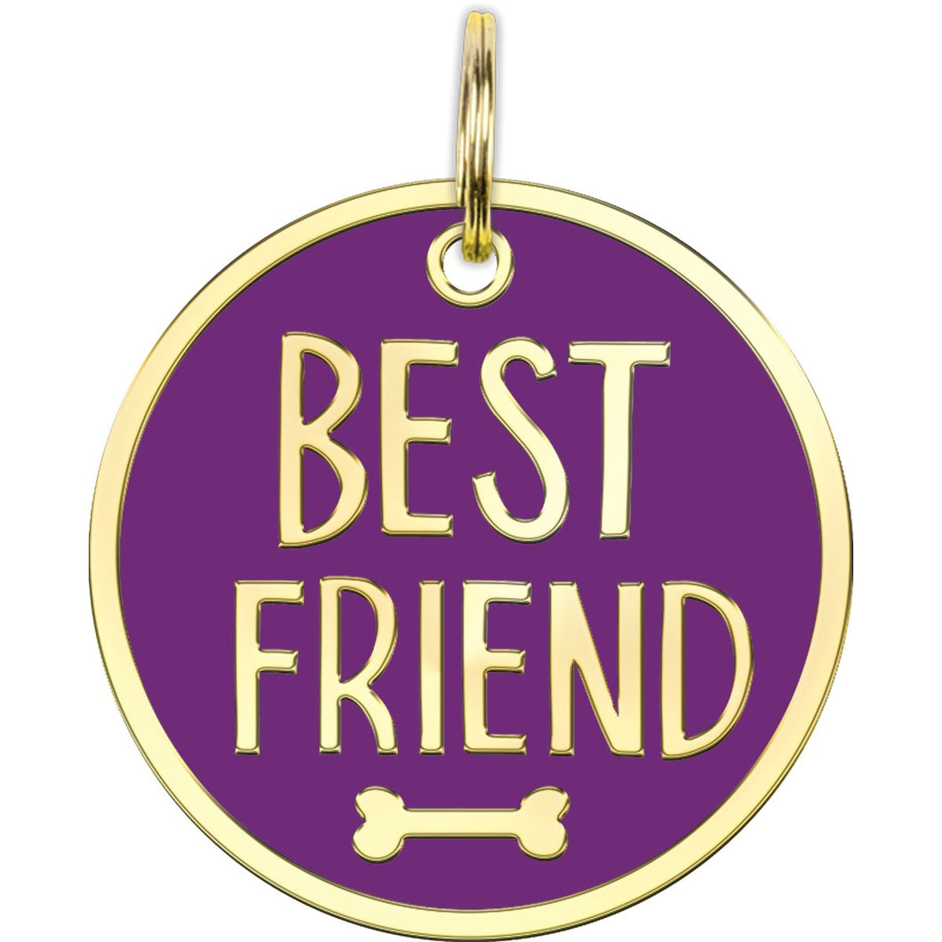 Best Friend Collar Charm
