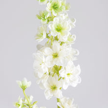 Load image into Gallery viewer, White Delphinium Stem
