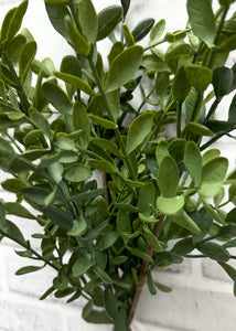 Tea Leaf Bundle, Fresh Touch