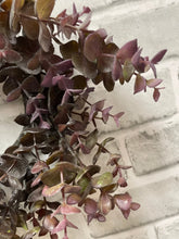 Load image into Gallery viewer, Eucalyptus Wreath, Burgundy
