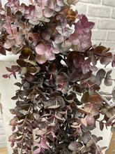 Load image into Gallery viewer, Eucalyptus Garland, Burgundy
