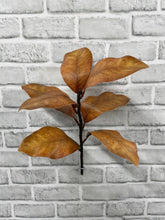 Load image into Gallery viewer, Brown Magnolia Spray
