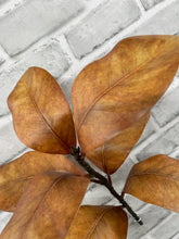 Load image into Gallery viewer, Brown Magnolia Spray

