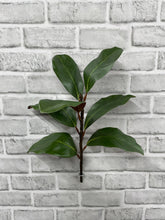 Load image into Gallery viewer, Green Magnolia Spray
