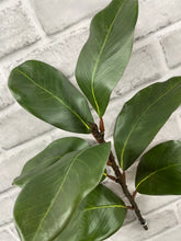 Load image into Gallery viewer, Green Magnolia Spray
