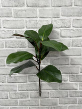 Load image into Gallery viewer, Green Magnolia Spray
