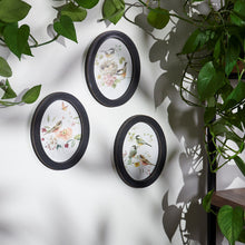 Load image into Gallery viewer, Framed Chickadee Portraits
