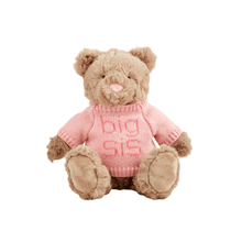 Load image into Gallery viewer, Big Bear Plush
