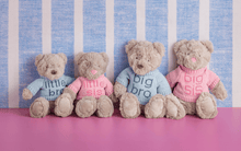 Load image into Gallery viewer, Little Bear Plush
