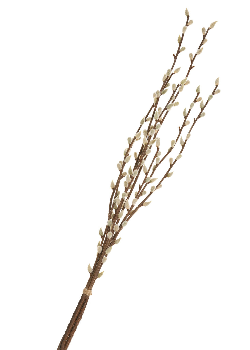 Pussy Willow Bouquet