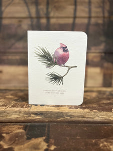 Cardinals Appear Sympathy Card