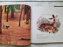 Load image into Gallery viewer, Woodland Dreams
