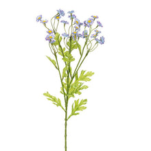 Load image into Gallery viewer, Camomile Flower Stem
