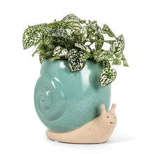 Load image into Gallery viewer, Snail Planter, Turquoise
