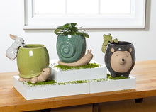 Load image into Gallery viewer, Snail Planter, Turquoise
