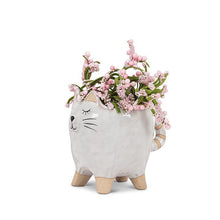Load image into Gallery viewer, Cat Planter
