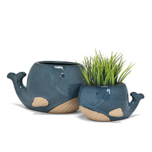 Load image into Gallery viewer, Blue Whale Planter, Large
