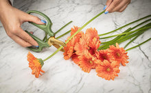 Load image into Gallery viewer, Floral Snips, Green
