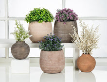Load image into Gallery viewer, Saychelles Pot, Bronze
