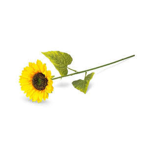 Sunflower Stem, Single