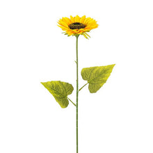 Load image into Gallery viewer, Sunflower Stem, Single
