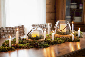 Willow Lantern, Small