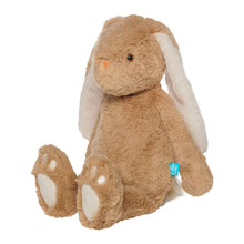 Load image into Gallery viewer, Willow Snuggle Bunny
