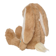 Load image into Gallery viewer, Willow Snuggle Bunny
