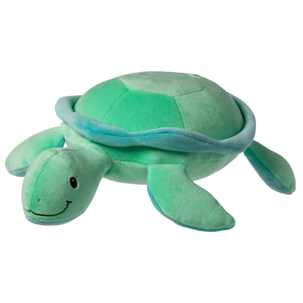 Sea Turtle Smoothez