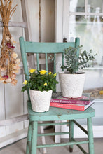 Load image into Gallery viewer, Kiona Embossed Pot
