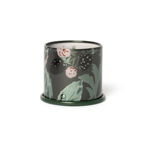 Blackberry Absinthe Demi Vanity Tin Candle