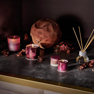 Oleander Oak Demi Vanity Tin Candle