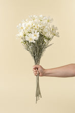 Load image into Gallery viewer, Cosmos Spray, White
