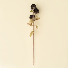 Load image into Gallery viewer, Pom Pom Floral Spray, Midnight
