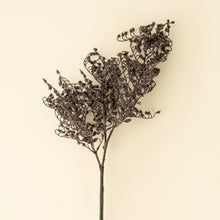 Load image into Gallery viewer, Dripping Dried Berry Spray
