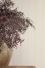 Load image into Gallery viewer, Dripping Dried Berry Spray
