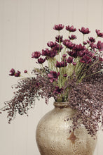Load image into Gallery viewer, Dripping Dried Berry Spray
