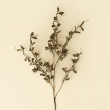Load image into Gallery viewer, Smoked Eucalyptus Spray
